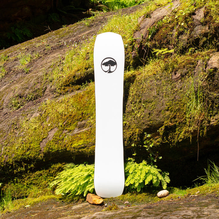 Arbor A-Frame Camber Snowboard 2024