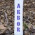 Arbor Ethos Snowboard - Women's 2024