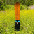 Arbor Veda Camber Snowboard 2024