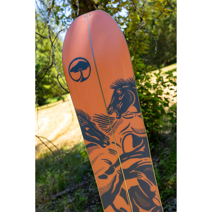 Arbor Carter Camber Splitboard 2024
