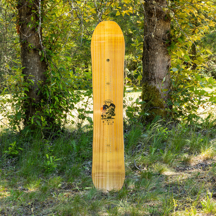 Arbor Carter Camber Snowboard 2024