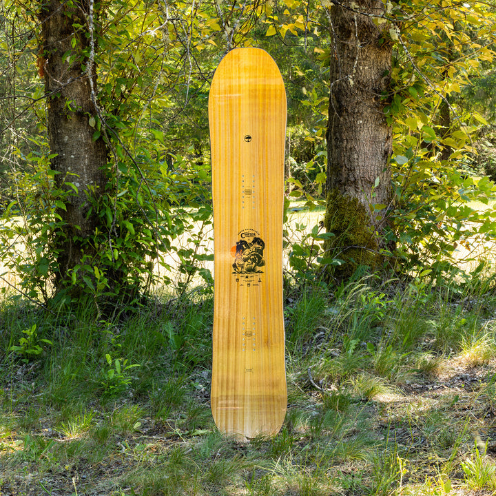 Arbor Carter Camber Snowboard 2024