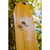 Arbor Carter Camber Splitboard 2024