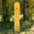 Arbor Carter Camber Splitboard 2024