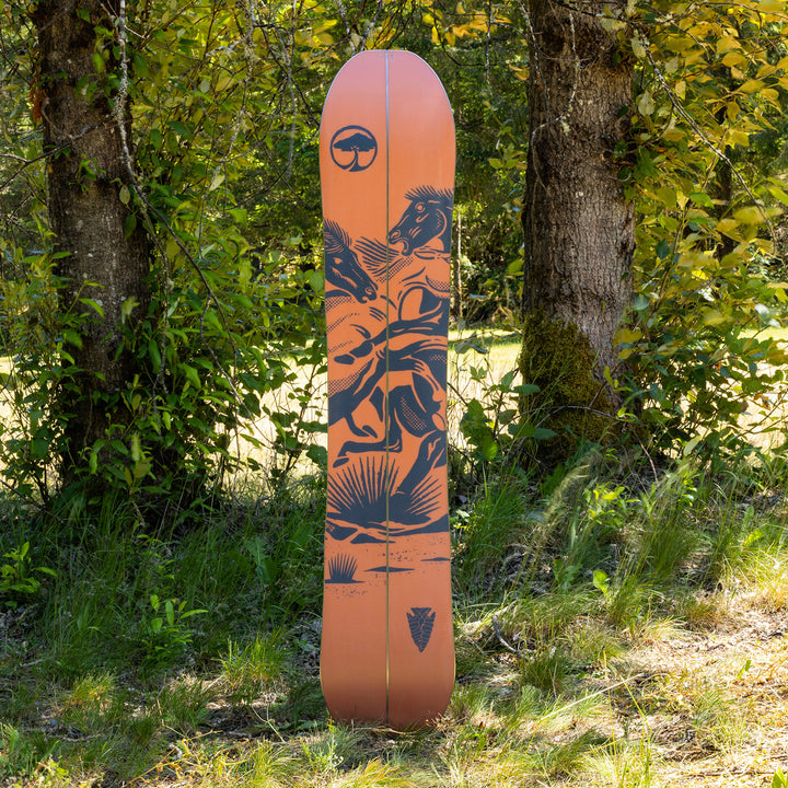 Arbor Carter Camber Splitboard 2024
