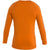 Icebreaker Merino 200 Sonebula Long-Sleeve Crew Top - Men's Earth/Solar/Loden/Cb