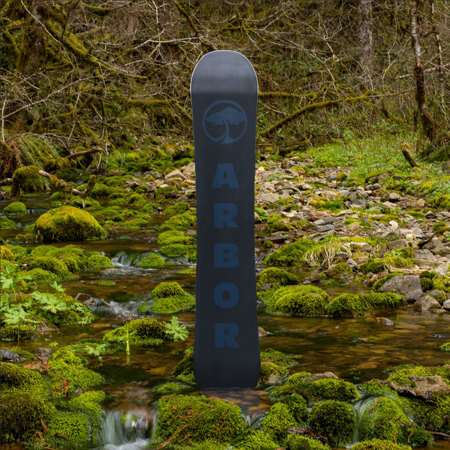 Arbor Foundation Snowboard 2024 – evo