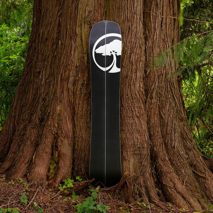 Arbor Landmark Camber Splitboard 2024