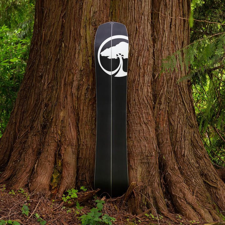 Arbor Landmark Rocker Splitboard