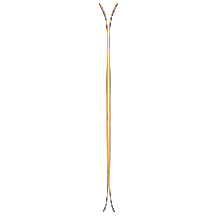 Blizzard Rustler 10 Skis 2025