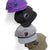 evo 5 Panel Vintage Hat Purple