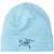 Arc'teryx Embroidered Bird Toque Beanie Glissade