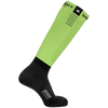 Parrot Green