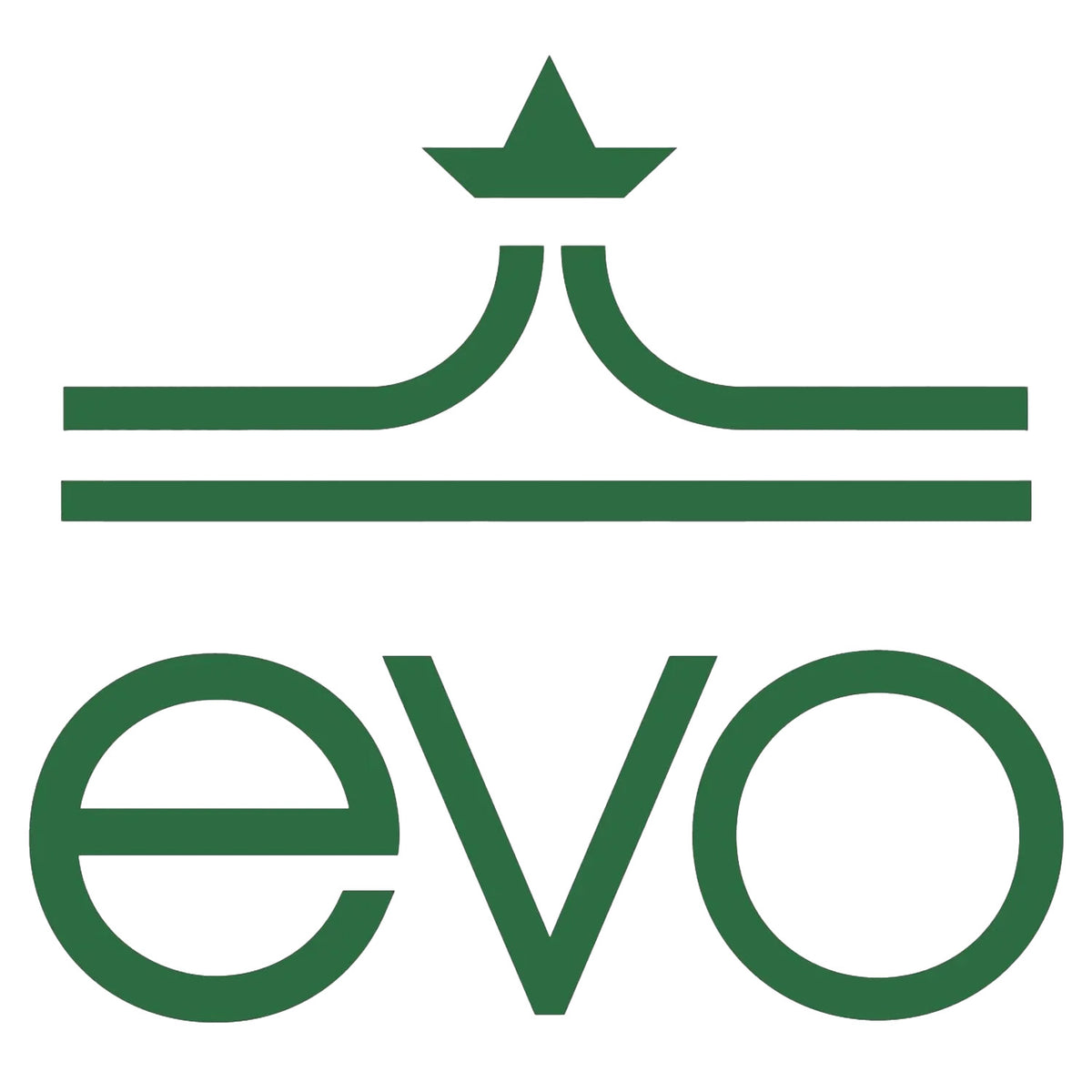 evo 4.5" Die Cut Sticker Green