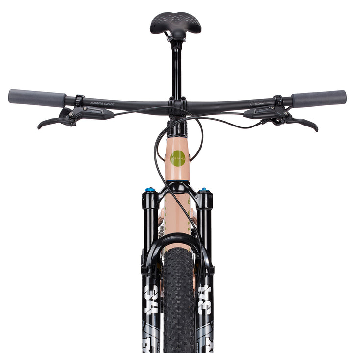 Juliana Wilder C GX AXS TR Complete Mountain Bike - Women's 2024 Gloss Palisade Peach