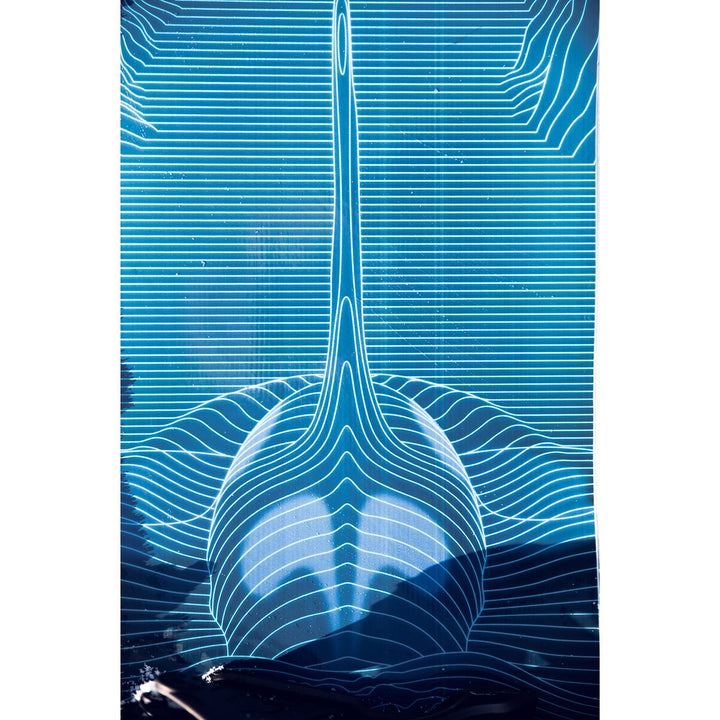 Lib Tech T.Rice Golden Orca Snowboard - Blem 2024