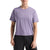 Arc'teryx Taema Crop Short-Sleeve Top - Women's Velocity Heather