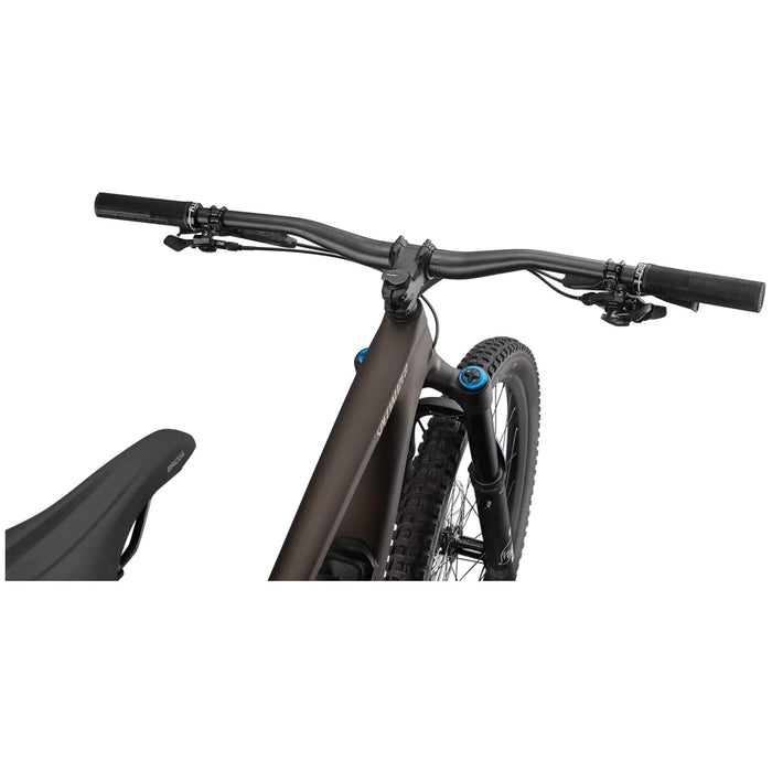 Specialized Enduro Expert Complete Mountain Bike 2022 Doppio/Sand