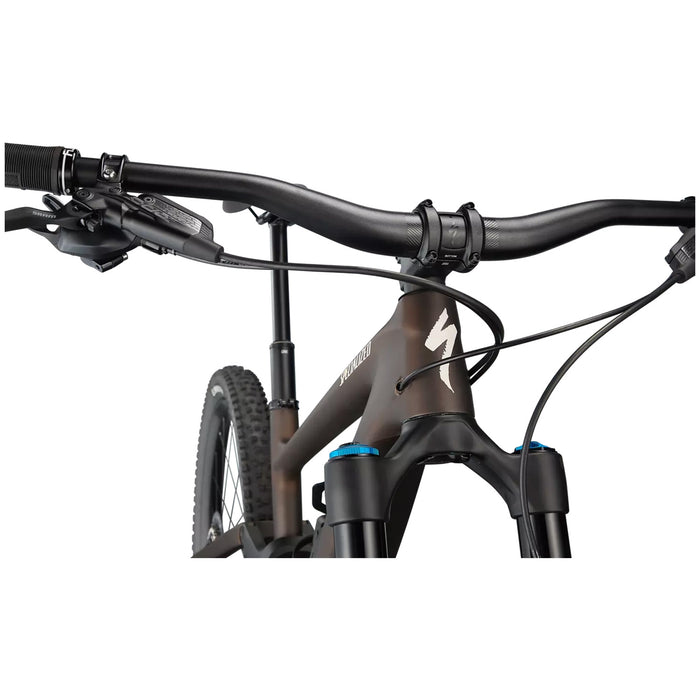 Specialized Enduro Expert Complete Mountain Bike 2022 Doppio/Sand
