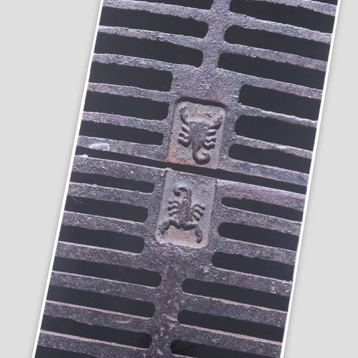 Pass~Port Drain Series Runoff 8.25 Skateboard Deck