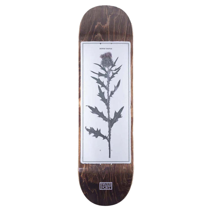 Pass~Port Invasive Species Scotch Thistle 8.25 Skateboard Deck