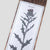Pass~Port Invasive Species Scotch Thistle 8.25 Skateboard Deck