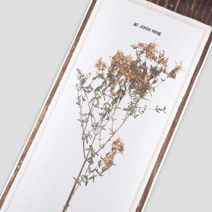 Pass~Port Invasive Species St Johns Wort 8.38 Skateboard Deck