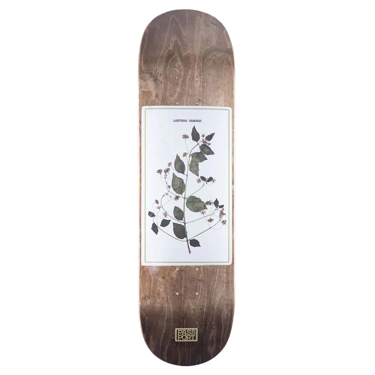 Pass~Port Invasive Species Lantana 8.5 Skateboard Deck