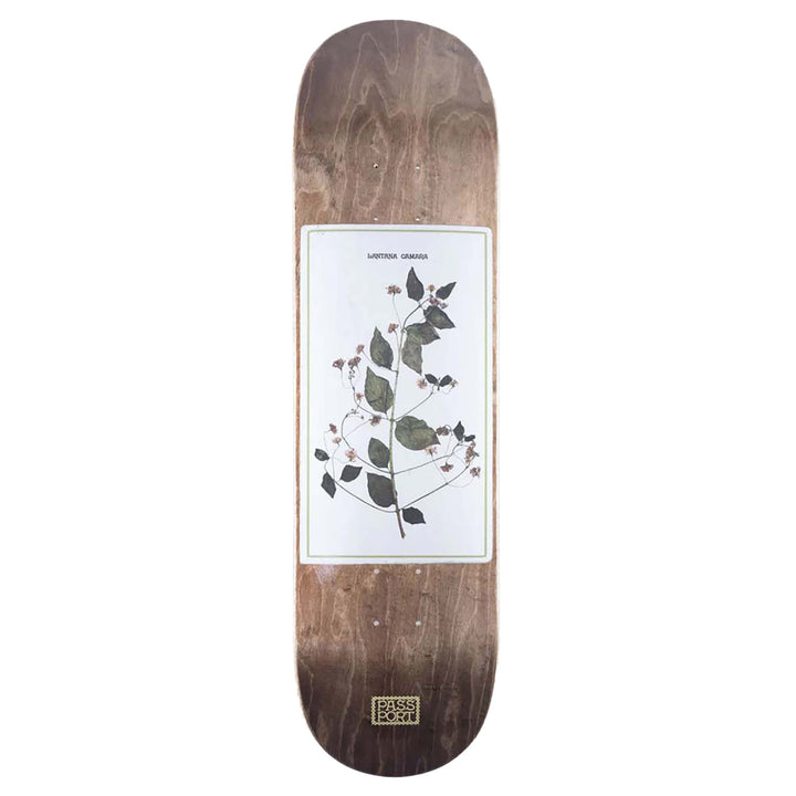 Pass~Port Invasive Species Lantana 8.5 Skateboard Deck