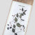 Pass~Port Invasive Species Lantana 8.5 Skateboard Deck