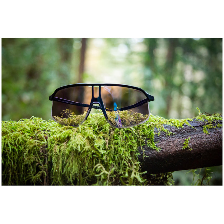 Julbo Density Sunglasses Translucent Gray/Blue REACTIV 1-3 Light Amlpifier
