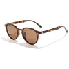 Tortoise/Amber Polarized
