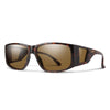 Tortoise/ChromaPop Polarized Brown