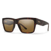 Matte Tortoise/ChromaPop Polarized Brown
