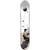 CAPiTA Navigator Splitboard + Union Expedition Skins 2025