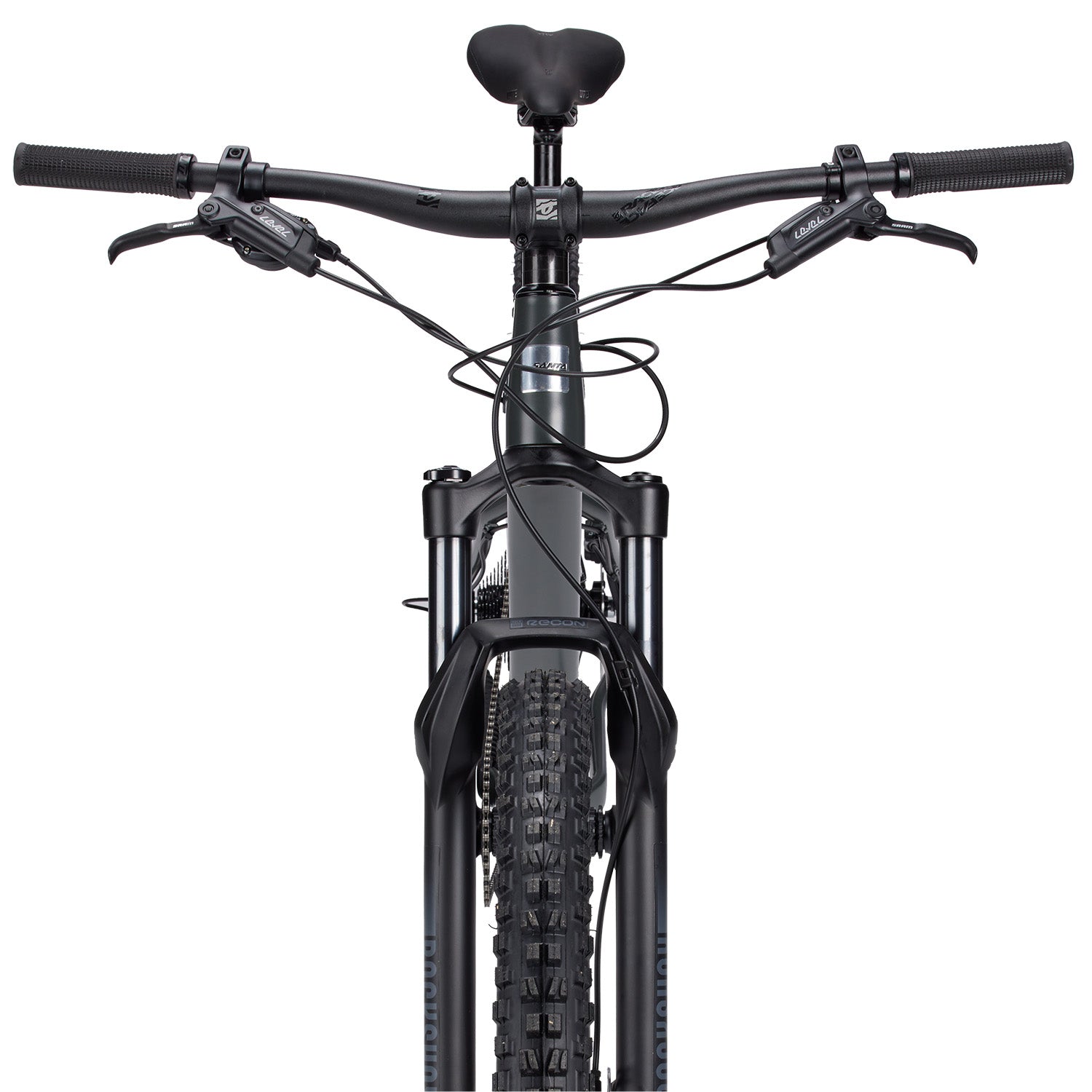 Santa Cruz Chameleon 8
