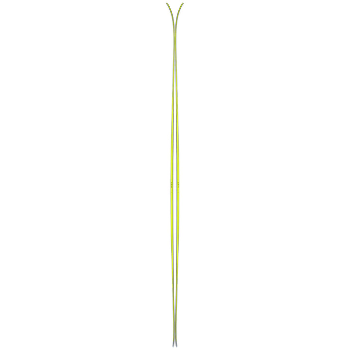 Black Crows Octo Skis 2025