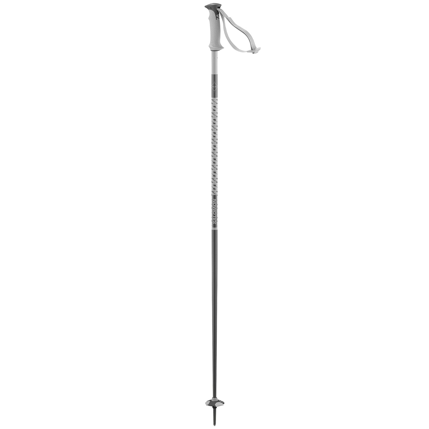 Salomon Polar Ski Poles 2027
