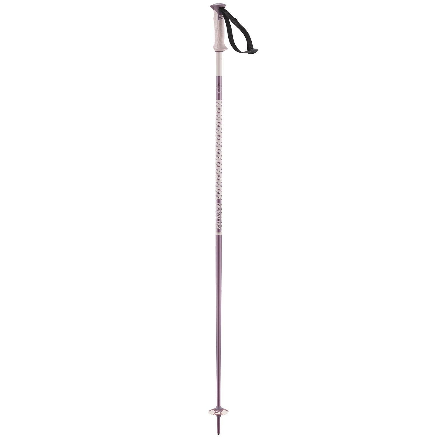 mens salomon ski poles Salomon Polar Ski Poles 2027 – evo