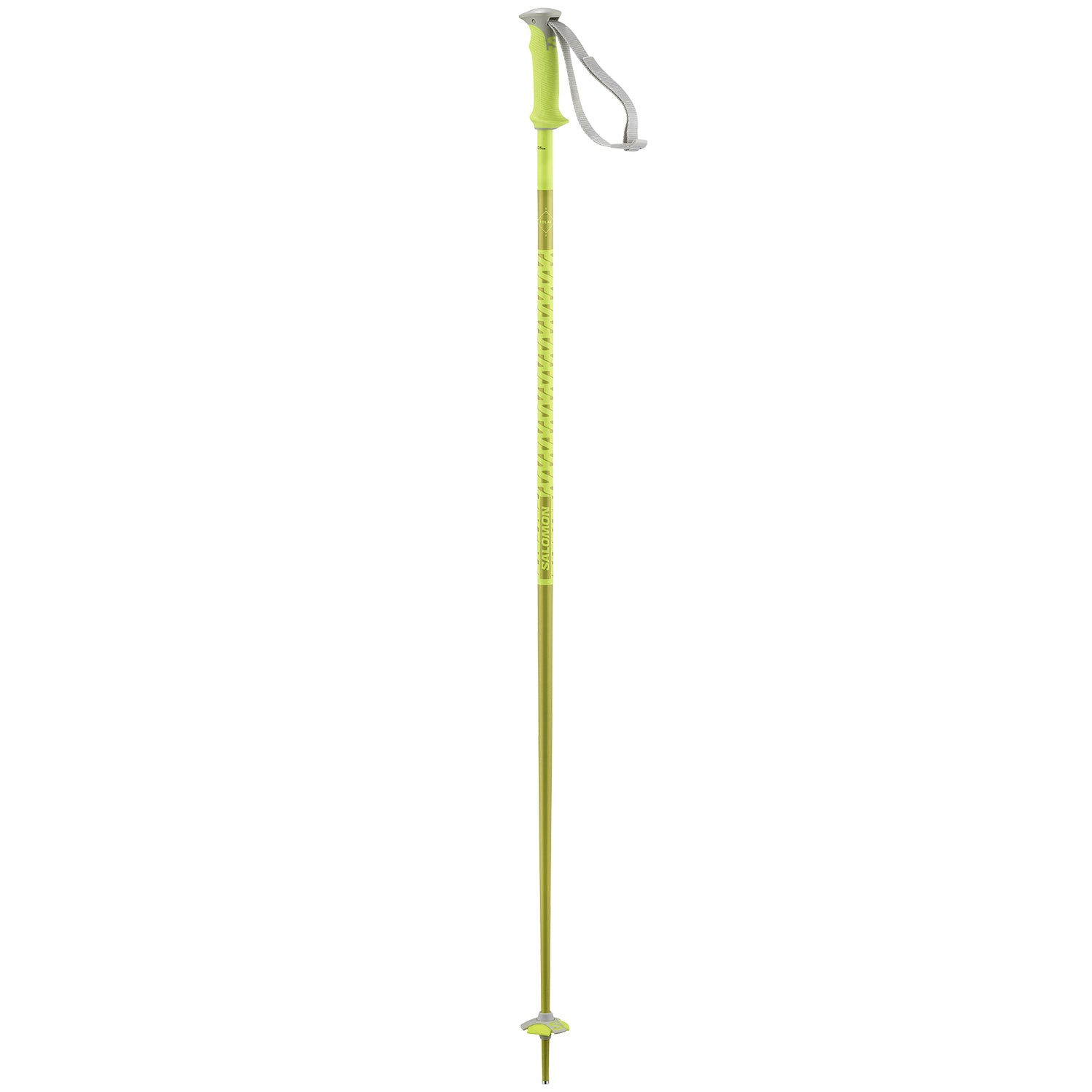 salomon active ski pole Salomon Polar Ski Poles 2027 – evo