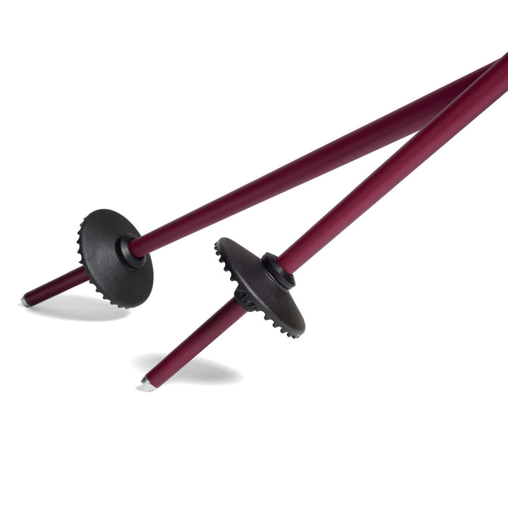 evo Merge Ski Poles Grape/Lemon Ice
