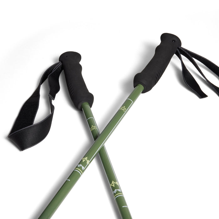 evo Overland Carbon Ski Poles Olive