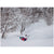 Burton Family Tree 3D Channel Surfer Snowboard 2025