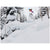 Burton Family Tree Hometown Hero Snowboard 2025