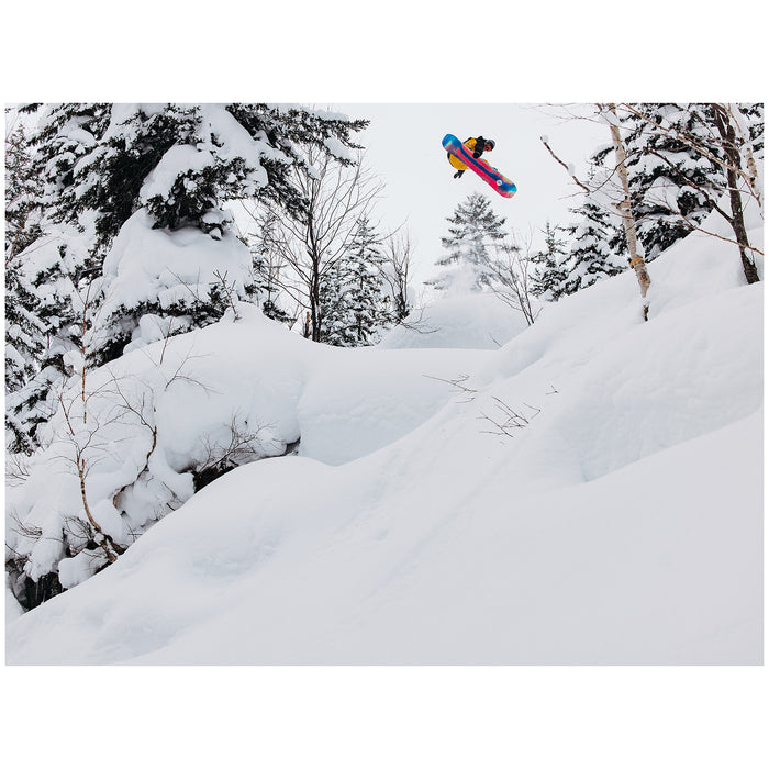 Burton Family Tree Hometown Hero Snowboard 2025