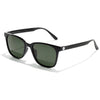 Black/Forest Polarized