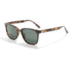 Tortoise/Forest Polarized