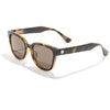 Tortoise/Amber Polarized