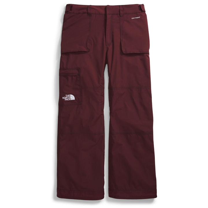 The North Face Slashback Pants - Men's Alpine Plum