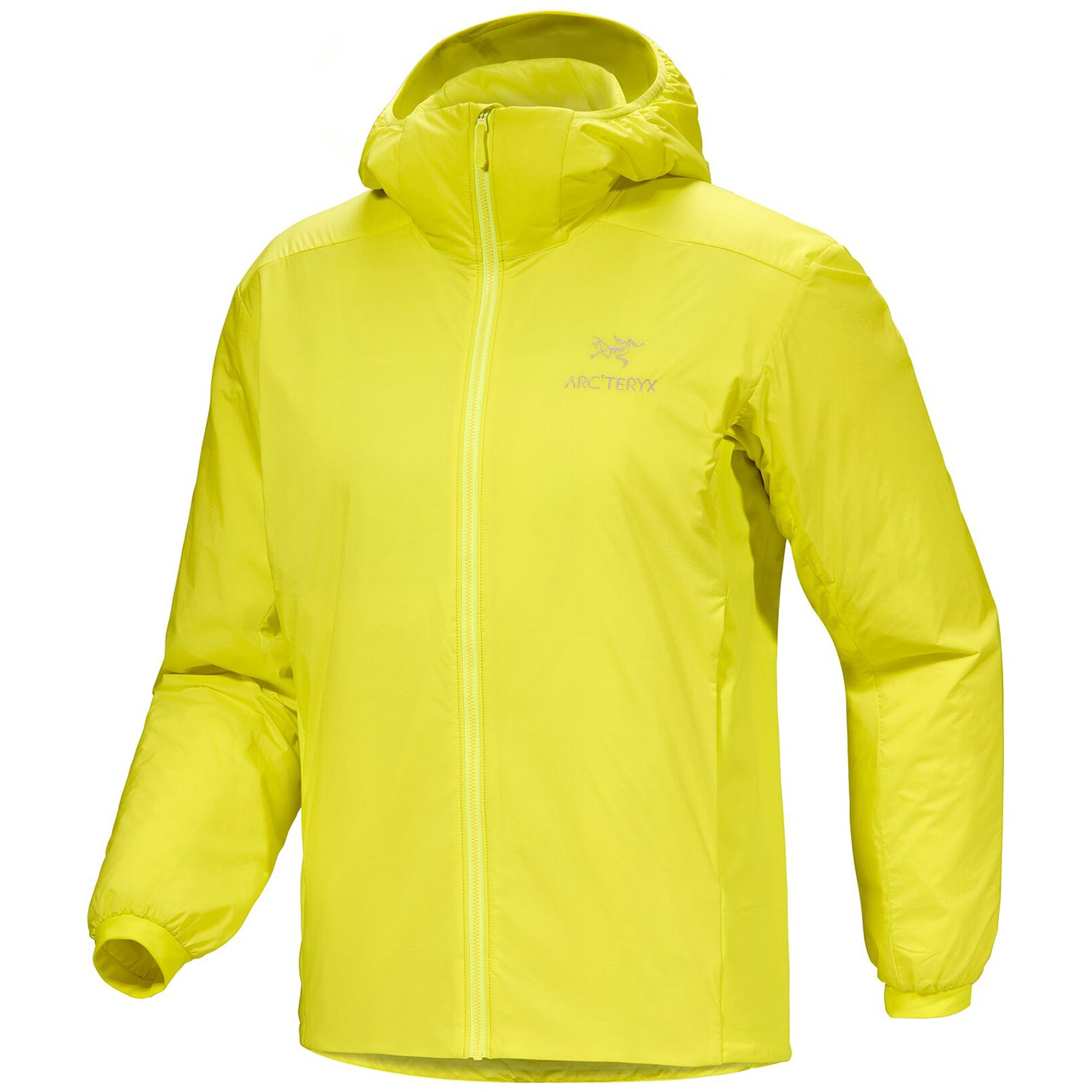 Arc'teryx Atom Hoodie - Men's – evo